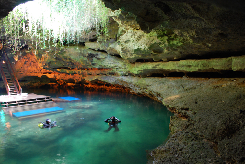 Dive Devil's Den & Blue Grotto, Williston, Florida - Bucket List Dream